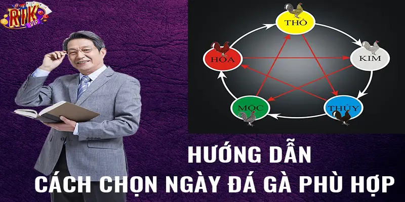 Hướng dẫn cách chọn ngày đá gà phù hợp 